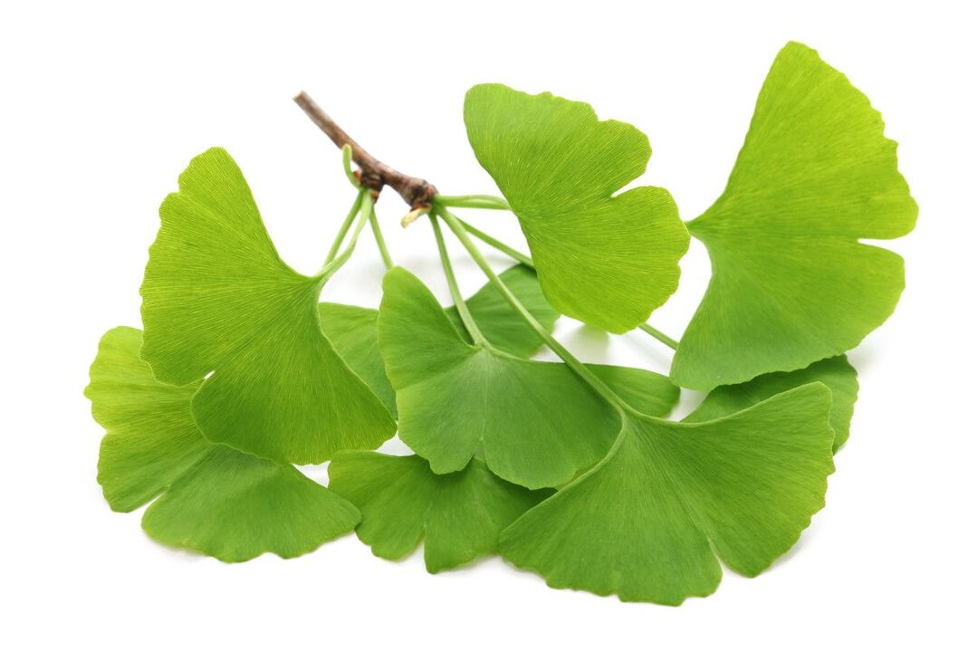 ginko biloba en gouttes Alcozar